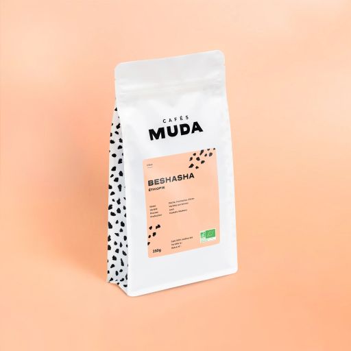 BESHASHA - BIO - ÉTHIOPIE