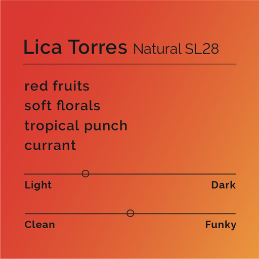 Lica Torres - Natural SL28