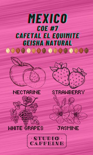 Mexico COE #7 Cafetal el Equimite Geisha Natural