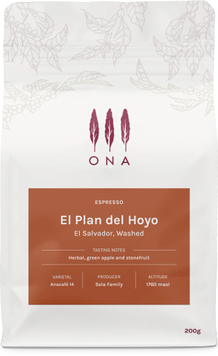 El Plan del Hoyo, El Salvador, Washed