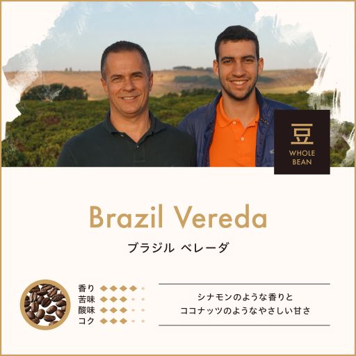 Brazil Vereda