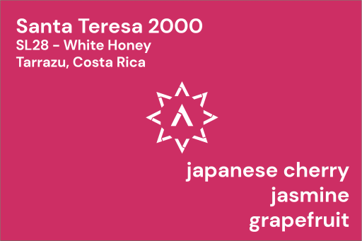 Santa Teresa 2000