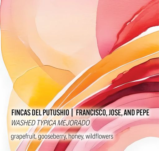 Fincas Del Putushio - Washed Typica Mejorado