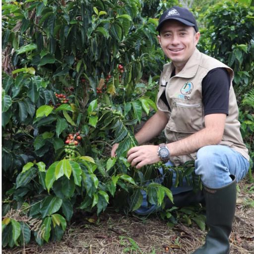 Colombia - Finca El Paraiso - Lychee Thermoshock