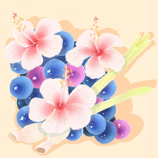 Typica Mejorado - Carbonic Maceration Natural - Hacienda La Florida