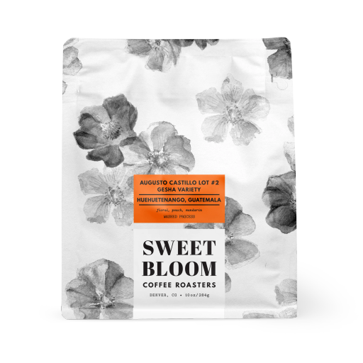 Augusto Castillo Lot #2