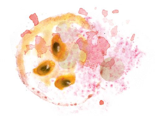 Jairo Decaf Castillo