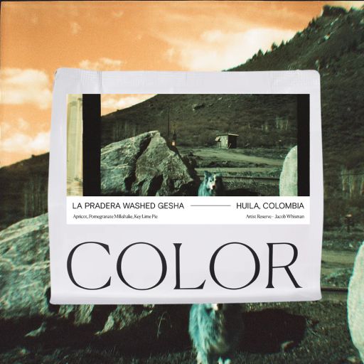 Artist Reserve: Colombia La Pradera Washed Gesha