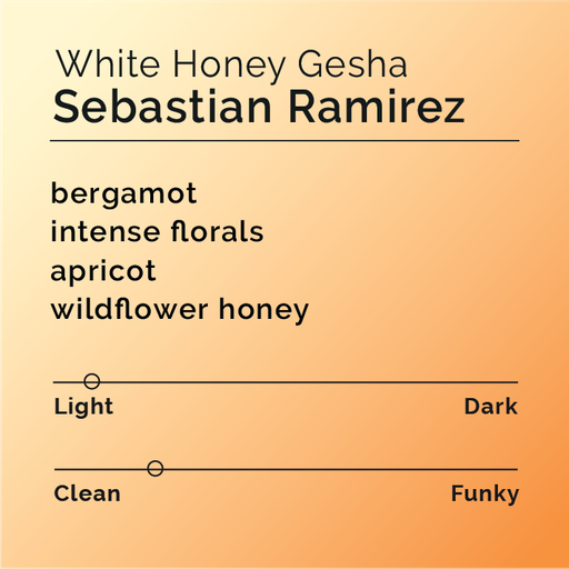Sebastian Ramirez - White Honey Gesha