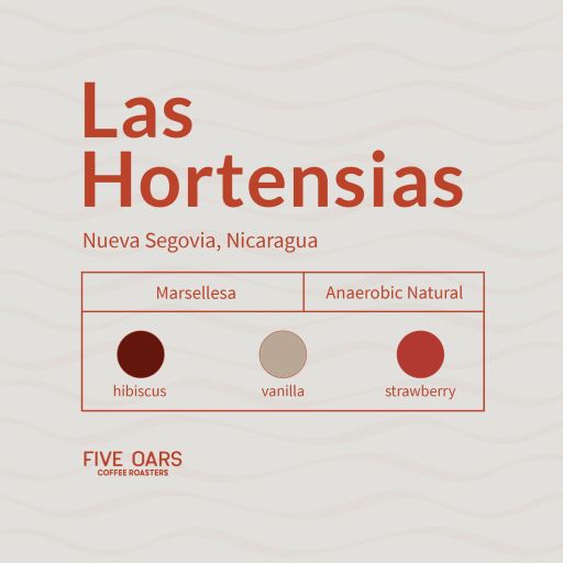 Las Hortensias