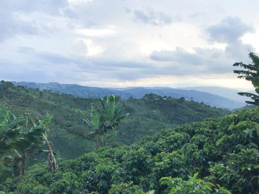 Colombia El Silencio Natural