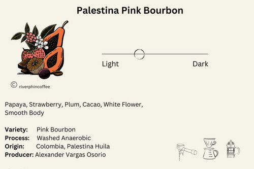 Palestina Pink Bourbon