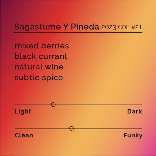 Sagastume & Pineda - 2023 COE #21