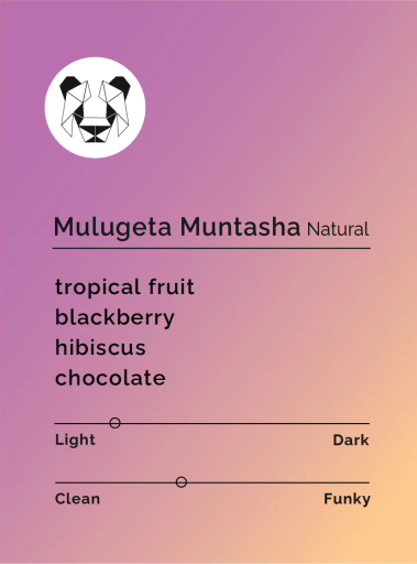 Mulugeta Muntasha - Natural