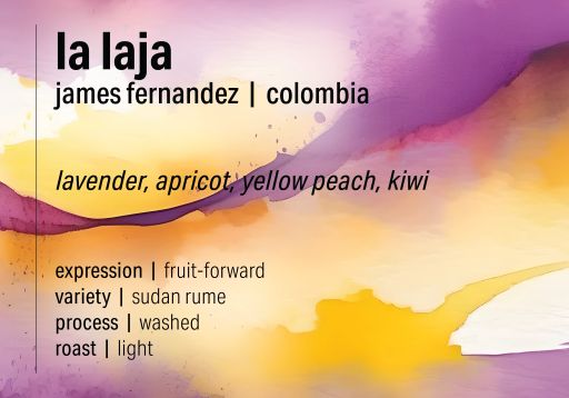 James Fernandez Sudan Rume Washed - La Laja