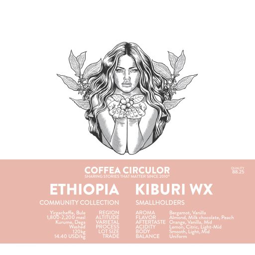 ETHIOPIA Kiburi Washed WX