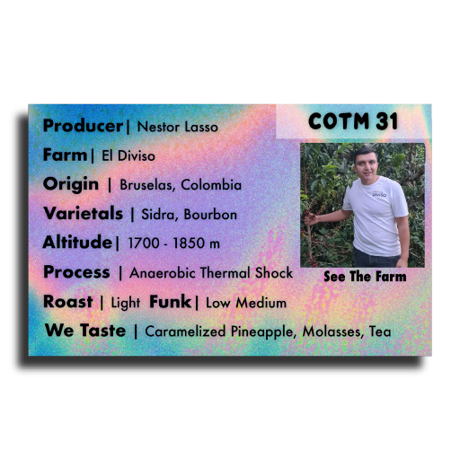 COTM 31 (Nestor Lasso | Anaerobic Washed Thermal Shock Sidra)