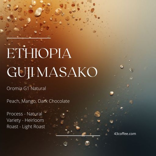 Ethiopia Guji Haro Masako, G1 Natural