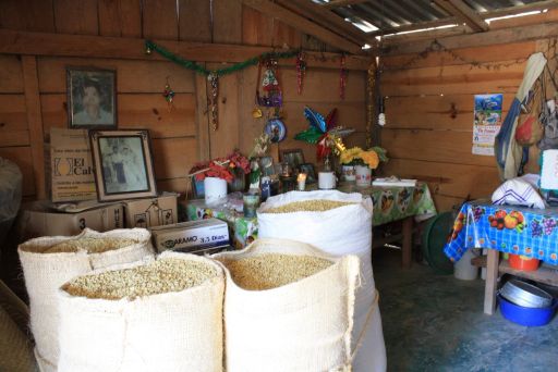 San Pedro Yosotatu Mexico