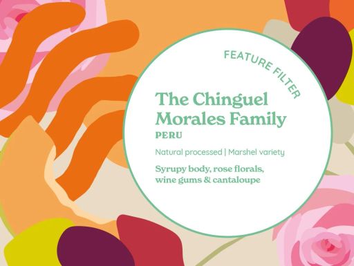 FEATURE FILTER | The Chinguel Family | Peru