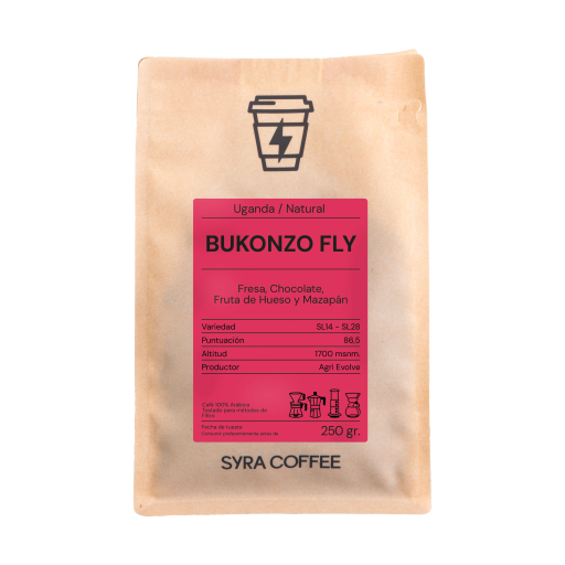 Bukonzo Fly