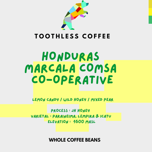 Honduras Marcala Comsa (JH Honey)