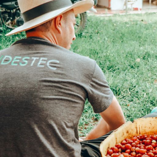 Colombia - Finca El Paraiso - Geisha Letty