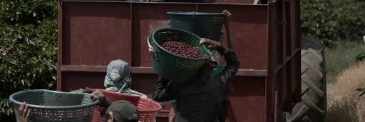 #39 Costa Rica, Competition Coffee Anaerobe Java