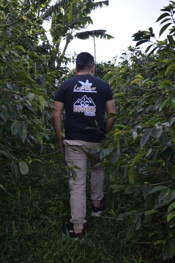 Colombia Finca Las Flores (Chiroso AN)