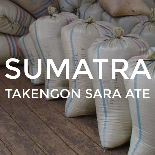 Sumatra Takengon Sara Ate