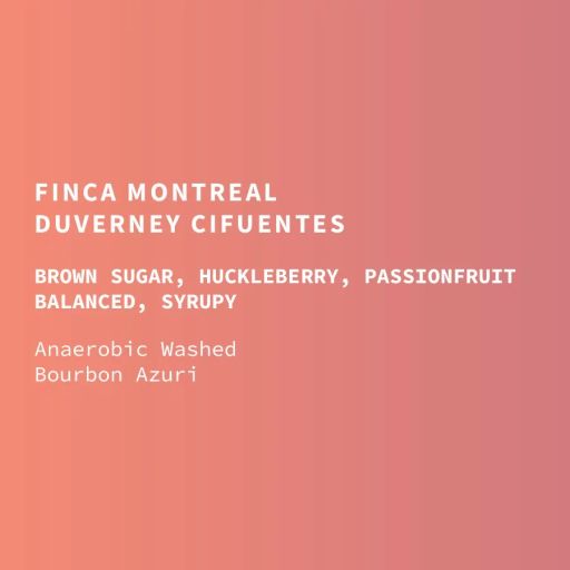 Colombia Finca Montreal Washed Bourbon Azuri