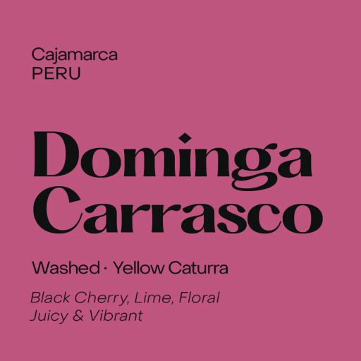 Peru Dominga Carrasco