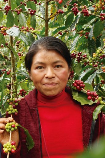 Mexikó kaffi - Samaria López - Caturra - þvegið