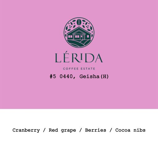 Panama Lérida Estate Geisha #5 0440 Honey