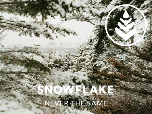 Snowflake