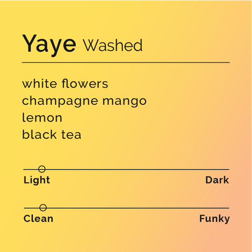 Yaye - Washed