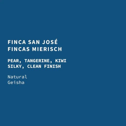 Nicaragua San Jose Natural Geisha