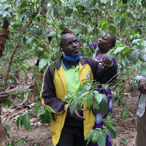 Faustin Ribarimana, Rwanda Espresso