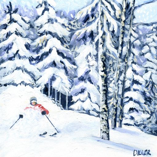 Organic Bracket Brook