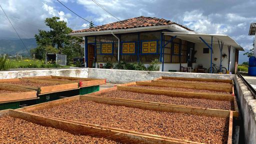 Colombia Edwin Noreña Anaerobic Sidra