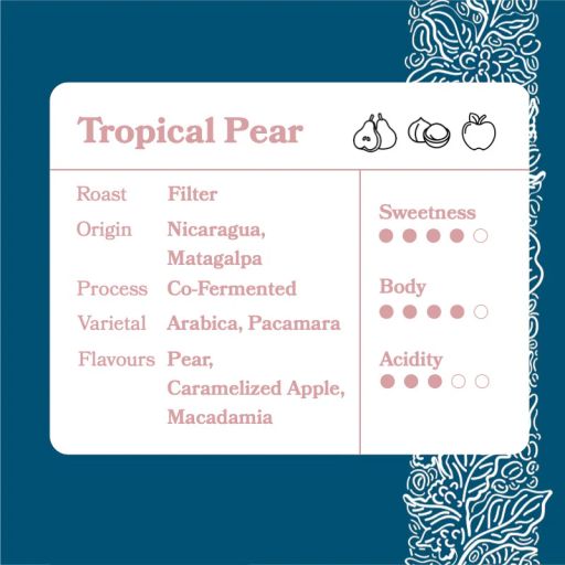 Tropical Pear