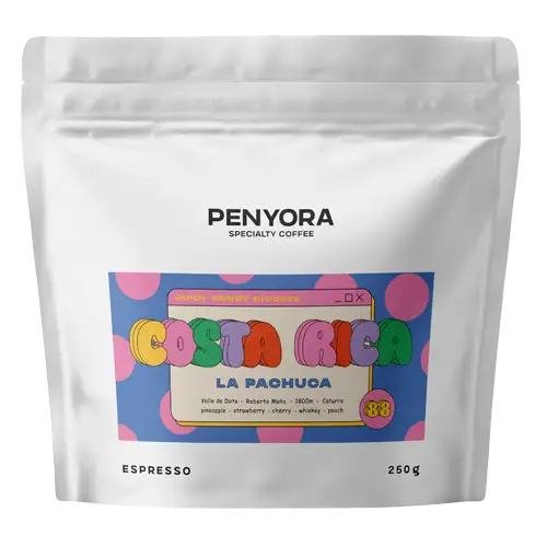 Costa Rica La Pachuca Juicy Honey Espresso