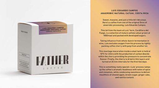 Luis Eduardo Campos Mucilage Macerated Anaerobic Natural, Tarrazu, Costa Rica