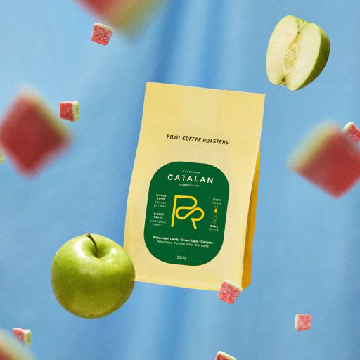 Catalan Maragogipe – Guatemala