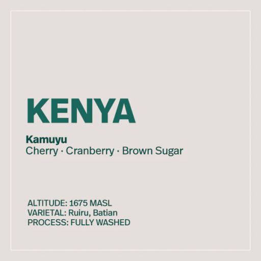 Kenya - Kamuyu