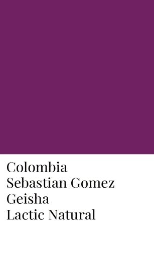 Colombia Sebastian Gomez Lactic Geisha Natural