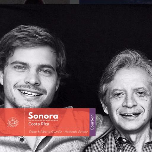 Costa Rica Hacienda Sonora Red Bourbon Honey