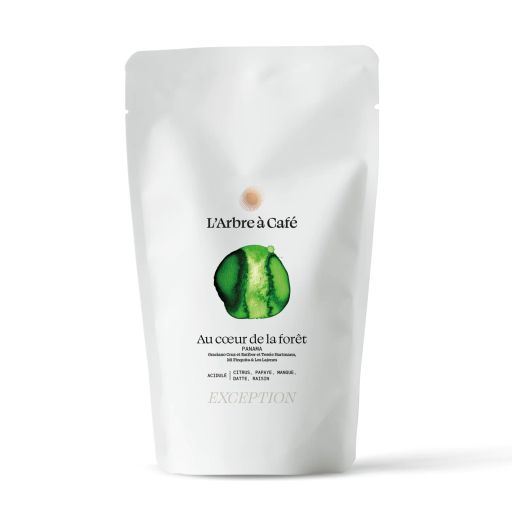 Au cœur de la forêt