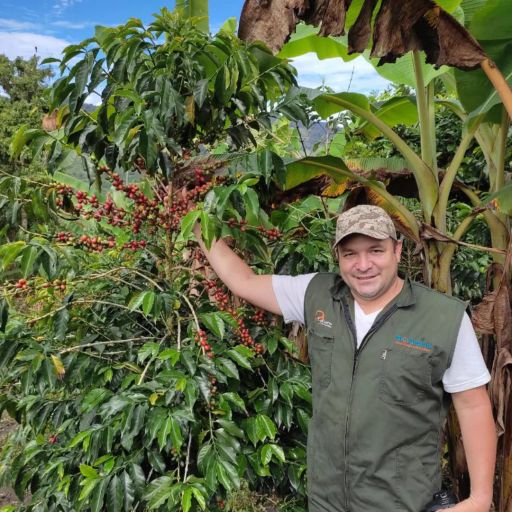 Colombia - Wilder Lazo - Espiritu Blanco - Geisha