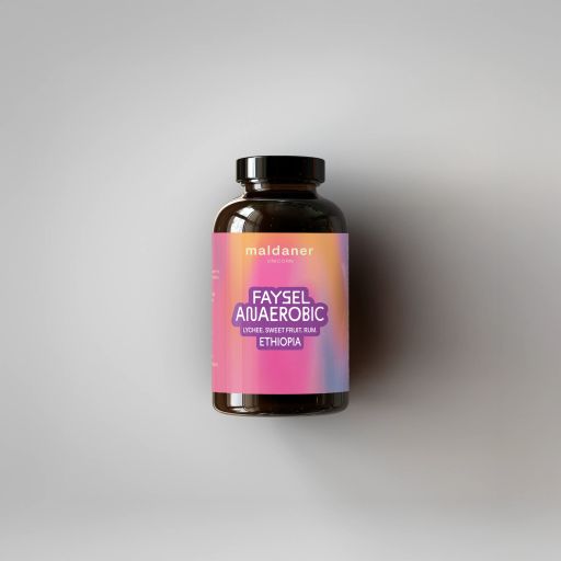 Faysel Anaerobic | Äthiopien